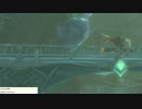 軽い縛りとマスターモードでゼルダの伝説ブレスオブザワイルドpart89。