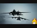 【命中率100％】ラーズグリーズは外さない Part9【エースコンバット7-ACE】