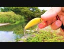 【釣り・VLOG】琵琶湖でバス釣り(野瀬川付近)＠ニゴイが釣れるもバスの魚影は見えず【ジョインテッドミノーと爆釣ルアー】
