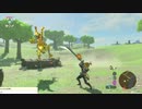 軽い縛りとマスターモードでゼルダの伝説ブレスオブザワイルドpart99。
