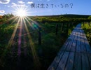 あなたにこの歌は聞こえますか？/重音テト