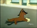 シルベスター／Doggone Cats(邦題不明)