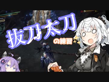 あかりちゃんの抜刀太刀練習【MHW:IB】