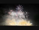 【2019】第1回 にし阿波の花火 「オープニング」斎木煙火本店