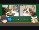 【ゆっくり解説】ディープラーニング(深層学習)の仕組み