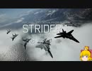 【命中率100％】ラーズグリーズは外さない Part10【エースコンバット7-ACE】