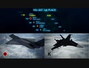 Ace Combat 7 Multiplayer389  バトルロイヤル  Su-34