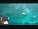 ゆっくりれいむのアクア放浪記　#50　上越市立水族博物館 うみがたり