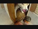 んーーーーでようかな～どうしようかなー