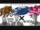 Safe & Sound & Bromance - Capital Cities & Avicii(Tim Berg) Mashup