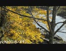 617北海道旅先【 神居古潭紅葉 】旭川