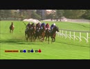 2016年 第16回クリテリウム国際(Critérium International）サンダースノー(Thunder Snow)