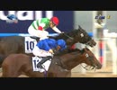 2017年 第18回UAEダービー(UAE Derby）サンダースノー(Thunder Snow)