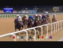 2019年 第24回ドバイワールドカップ(Dubai World Cup）サンダースノー(Thunder Snow)