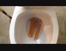 鉛筆をトイレに流してみた