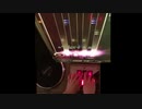 【beatmaniaIIDX】中伝初合格【Rootage】