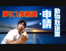 【夢に近づく！】動物取扱業の書類を提出してきたら凄かった！【やればできる子】