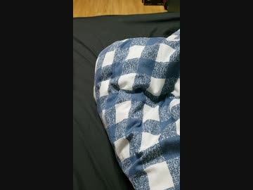 誰でもできる！にゃんこと一緒に反射神経を鍛えよう！