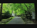 初秋の京都(2019/10/13）