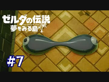 バカボンに出てくる本官の目みたい【ゼルダの伝説 夢をみる島】＃７
