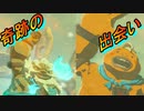 【実況】ゼルダの伝説 BREATH OF THE WILD　Part35【初見】