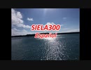 SIELA300Español