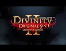 ディヴィニティ：オリジナル・シン 2 ディフィニティブエディション