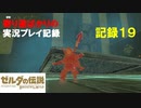 【寄り道ばかりの】ゼルダの伝説BotW【実況プレイ記録19】迷って迷って塔の上