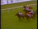 1993年 愛2000ギニー(Irish Two Thousand Guineas）バラシア(Barathea)