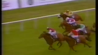 1993年 愛2000ギニー(Irish Two Thousand Guineas）バラシア(Barathea)