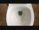 スナップルーラーをトイレに流してみた（→トイレ故障）