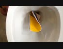 ノートをトイレに流してみた１