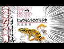 【完全飼育】ヒョウモントカゲモドキ完全飼育を読んだ感想【おすすめ】