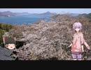 【ロードバイク】ゆかりさんとゆっくりが走る しまなみ海道part6