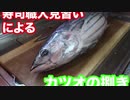 【見習い】鮨職人による初めての自宅での鰹の捌き練習　捌きからカツオの藁焼きまで