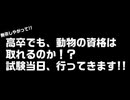 【家庭動物管理士】動物の資格試験行ってきます!!【合格】