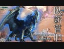 【MHWIB】負けられません勝つまでは ∼ナナテスカトリ∼【モンスターハンターワールドアイスボーン】