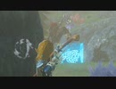 依頼を受けて、ライネルのムービーを見に来てみた