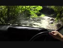 仕事で廃路線道路を運転した