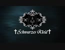 【XFD】Schwarzes Kleid～Catharsis～