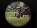 Red Dead Redemption 2 レッド・デッド・リデンプション 2　オンライン　クリップス殺害　「カルカノライフル炸裂弾」