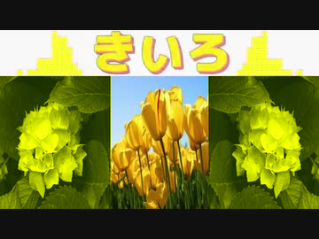 咲いた咲いたチューリップの花が並んだ並んだあかしろ「きいろぉぉぉぉぉおおおお！！！！」