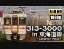 【JR東海】313系3000番台 in 東海道線 ～Collection Vol.05～