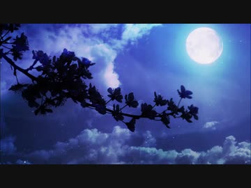 茜とゆかりと月見の夜。【VOICEROID劇場】