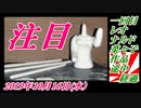 一回目 レオ ナルド 菜々子 作品、途中経過。菜々子の独り言　2019年10月16日(水）