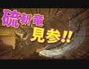 【MHW:IB】冬生れ冬大好き雪国に住みたい中２病の私がMHW:IBに移住してみた【初見実況】part21