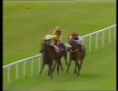 1992年 第98回愛オークス(Irish Oaks Stakes）ユーザーフレンドリー(User Friendly)