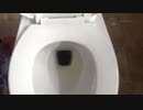 ミニカーをトイレに流してみた
