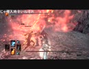 ダークソウル3 魔法使いで王たちの化身攻略