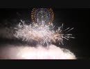 【2019】第1回 にし阿波の花火　テーマファイア「グランドエスケープ」【野村花火工業】